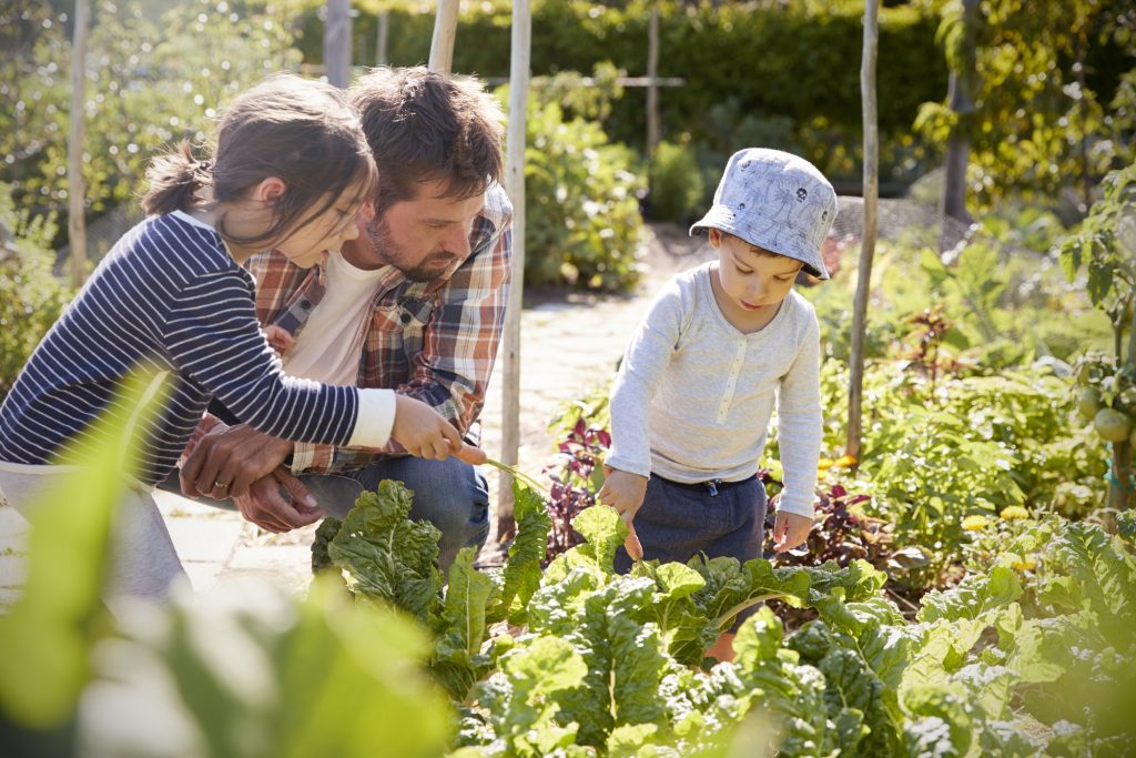 Caring for the “seventh generation” by caring for the next one (father teaching children about gardening).