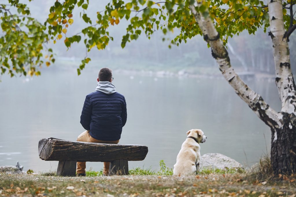 Man with dog in autumn nature