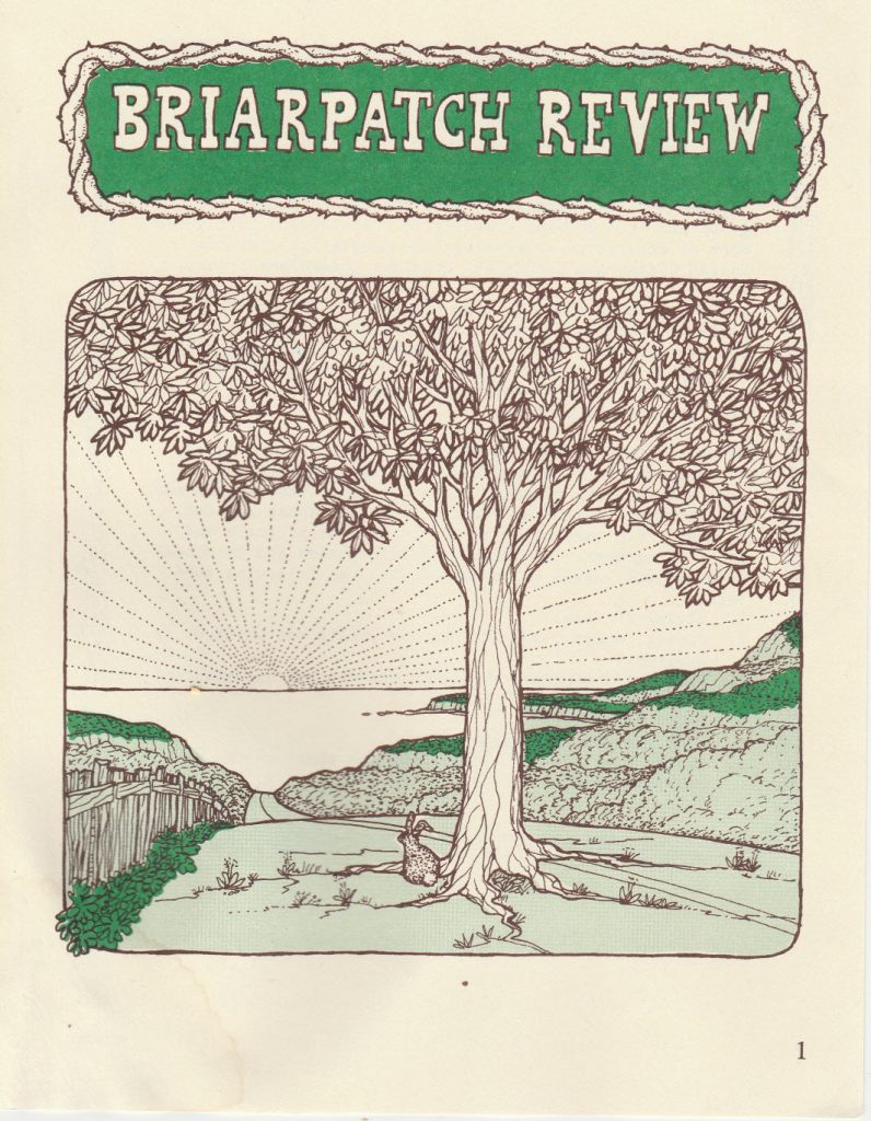`Cover: Briarpatch Review