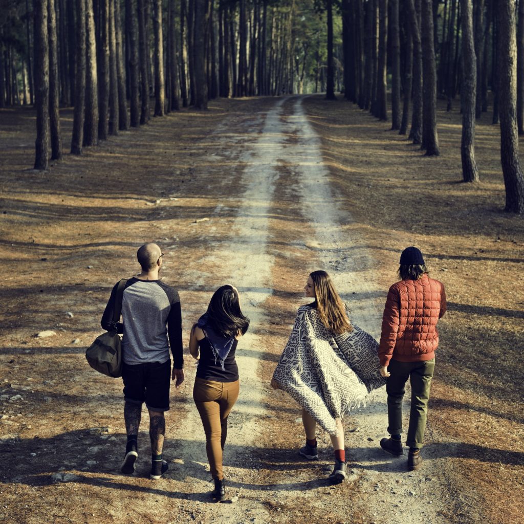 A group of friends, two men and two women walking down an old logging road in the forest. Friends embarking together on the path to meaningful work.